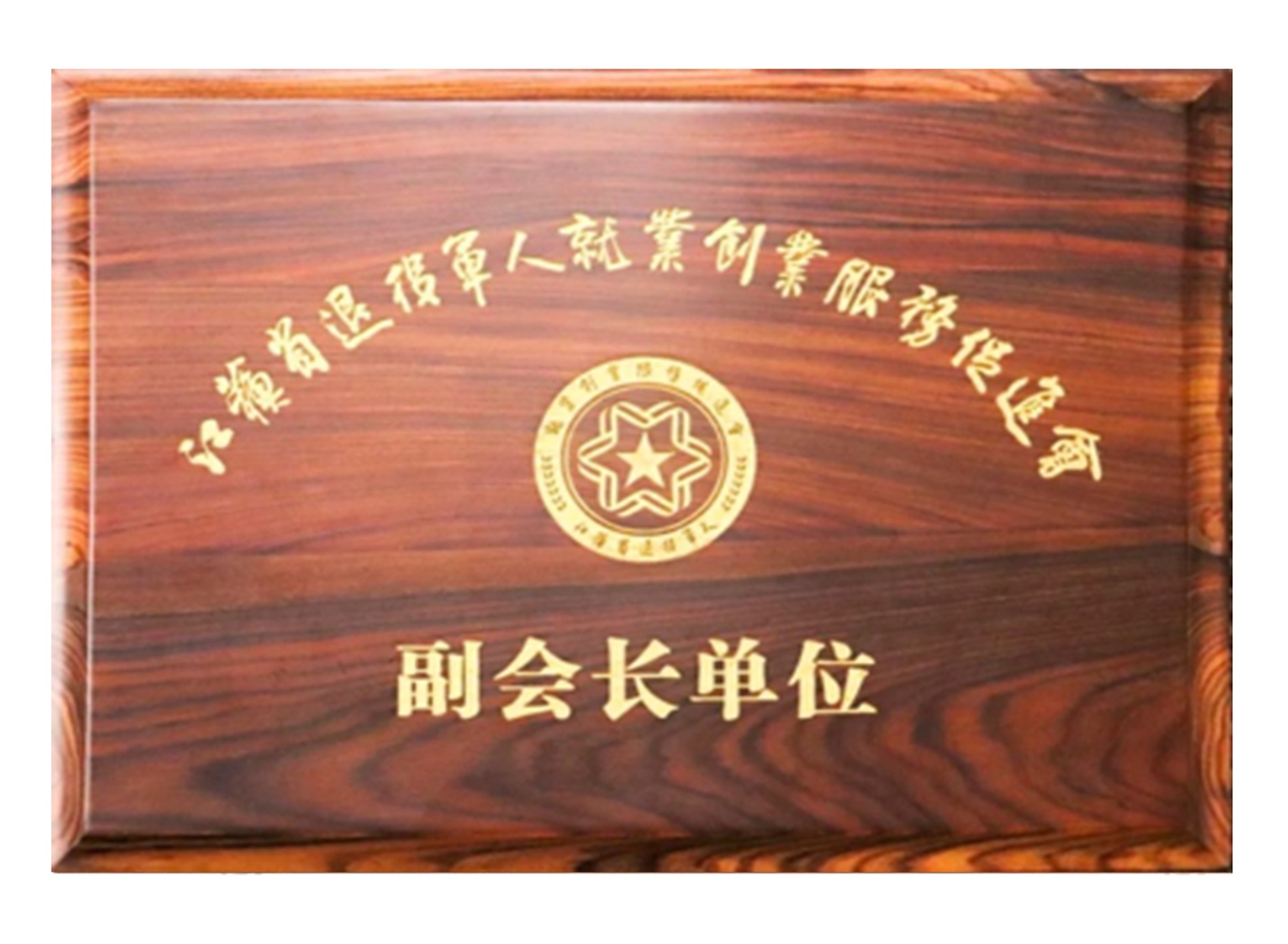 江蘇省退役軍人就業(yè)促進(jìn)會(huì)副會(huì)長單位
